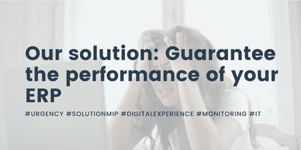 Our solution: Guarantee the performance of your ERP